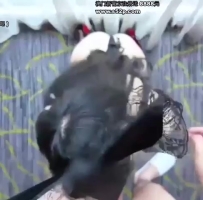 ❤️❤️推特极品蜂腰美乳痉挛女神再次被大鸡巴操到双腿乱橙站不稳❤️
